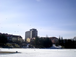 Salvijos Vaičikonytės nuotr. 